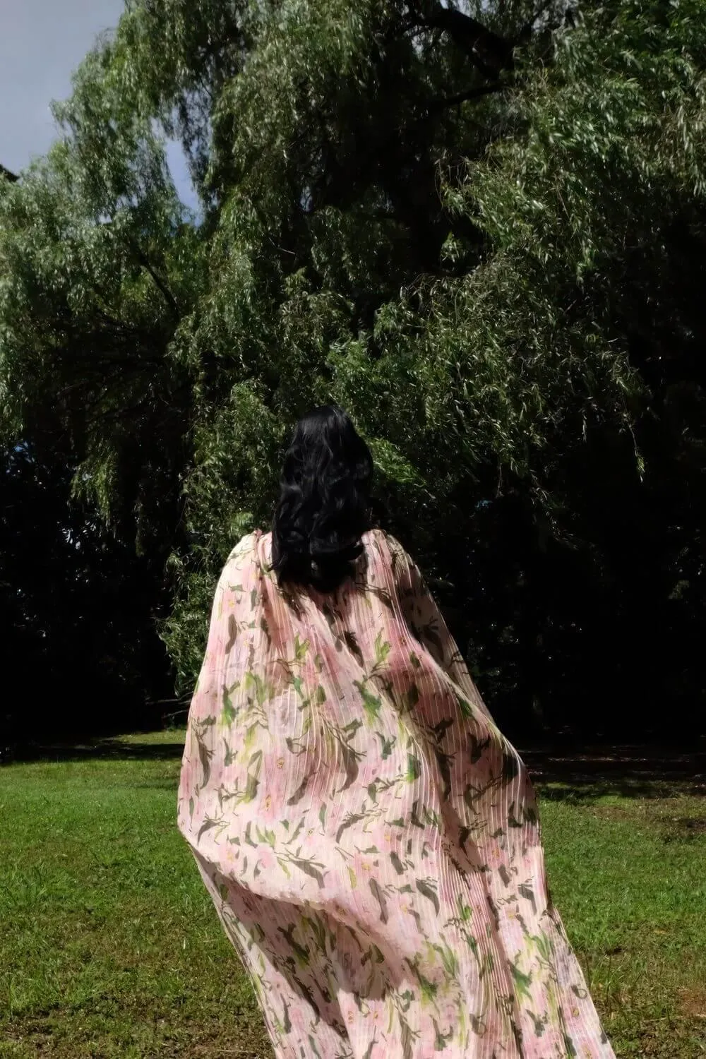 Emma Pleated Cape Sleeved Chiffon Maxi Dress