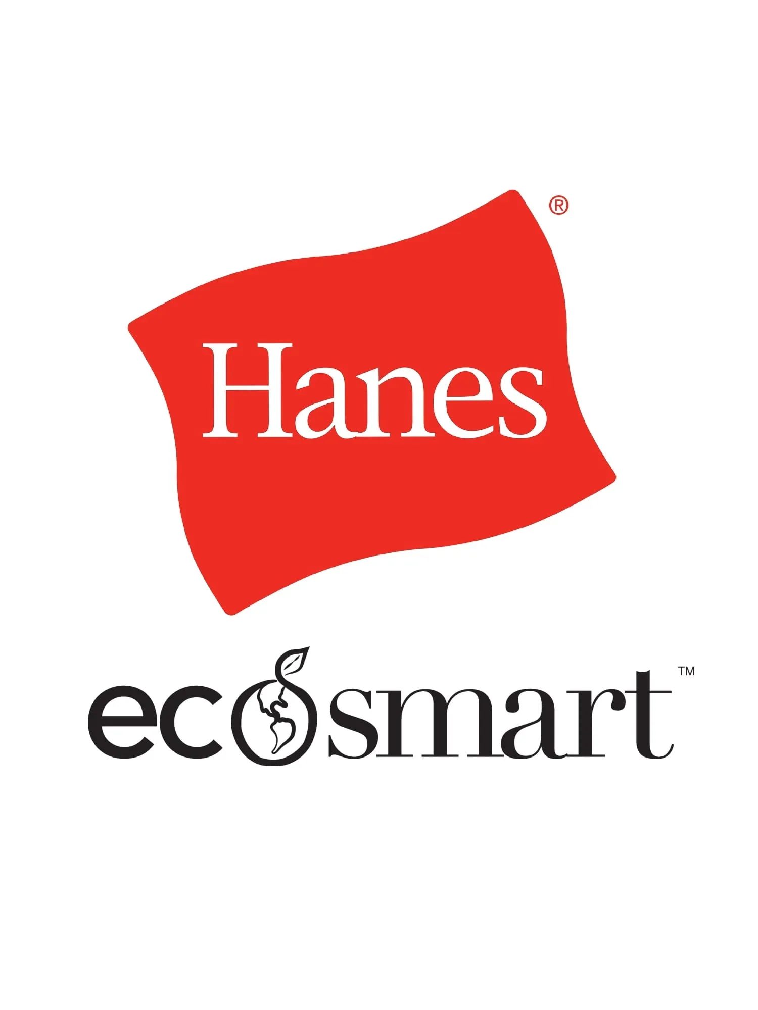 Hanes Men's and Big Men's Ecosmart Fleece Pullover Hoodie Sweatshirt, up to Size 5XL