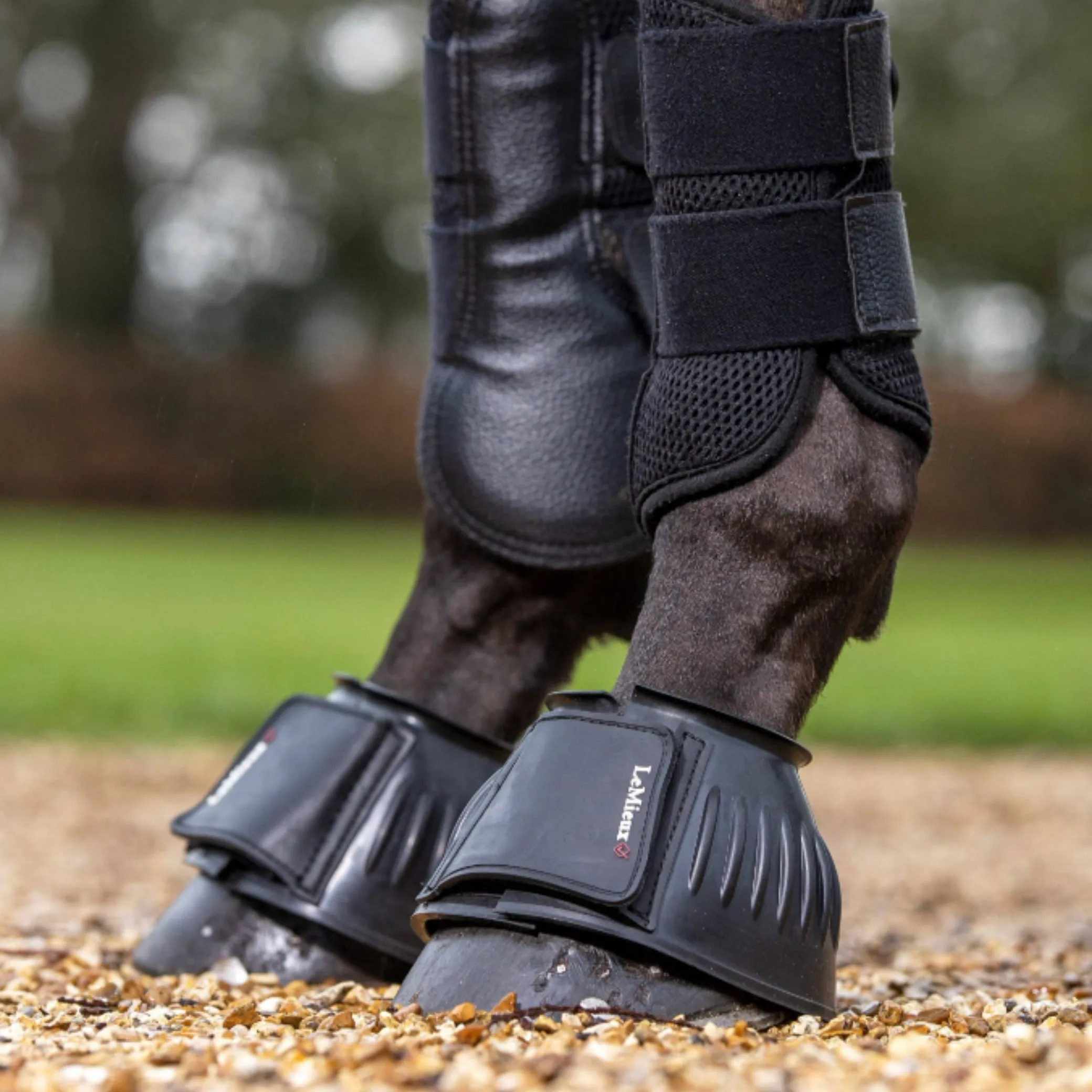 LeMieux Rubber Bell Boots